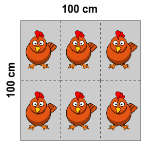 Platzbedarf von Hühnern